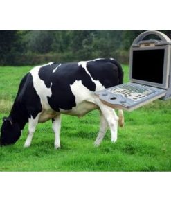 Alternative view of Rhino Double Bucket Trolley