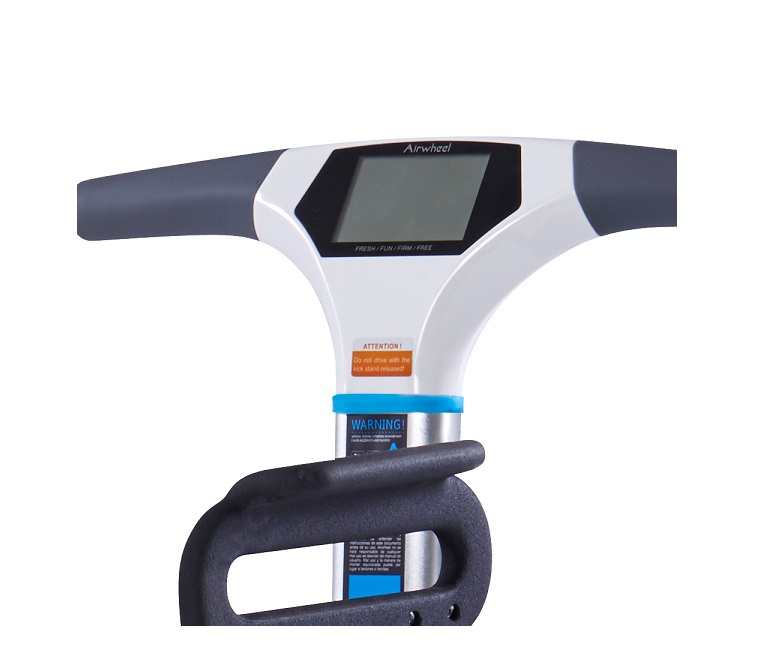 Placenta Scale - Image 6