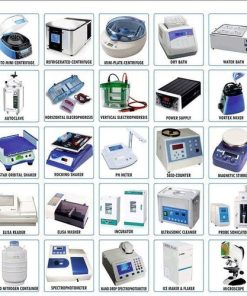 adaptive toilet seat