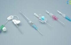 22g cannula