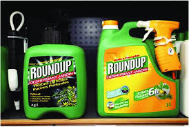 roundup ultra max 20l