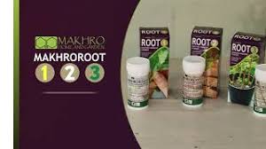 Makhro -Lawn Combo -SuperLawnweeder, Lawntyl, LawnProtector & Multi-BoosterPost-emergent