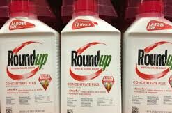 best glyphosate herbicide