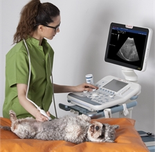 Small Animal ULTRASOUND SCANNER - Image 2