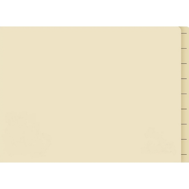 Lateral Document Files - Foolscap - Medium Weight - 190gsm - Pack of 200 - FILLMW200