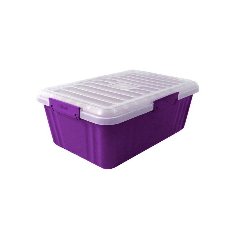 4L Lock Box Purple