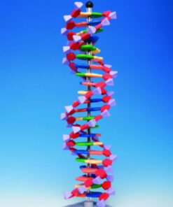 Protein Kit RNA-12 PS