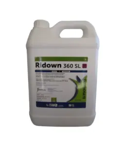 Ridown 360 SL 5lt. Weed Killer for Paving