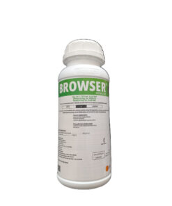 Browser 5L