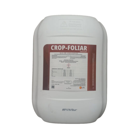 Folar Machine Crop Folar – Oxygen Machine