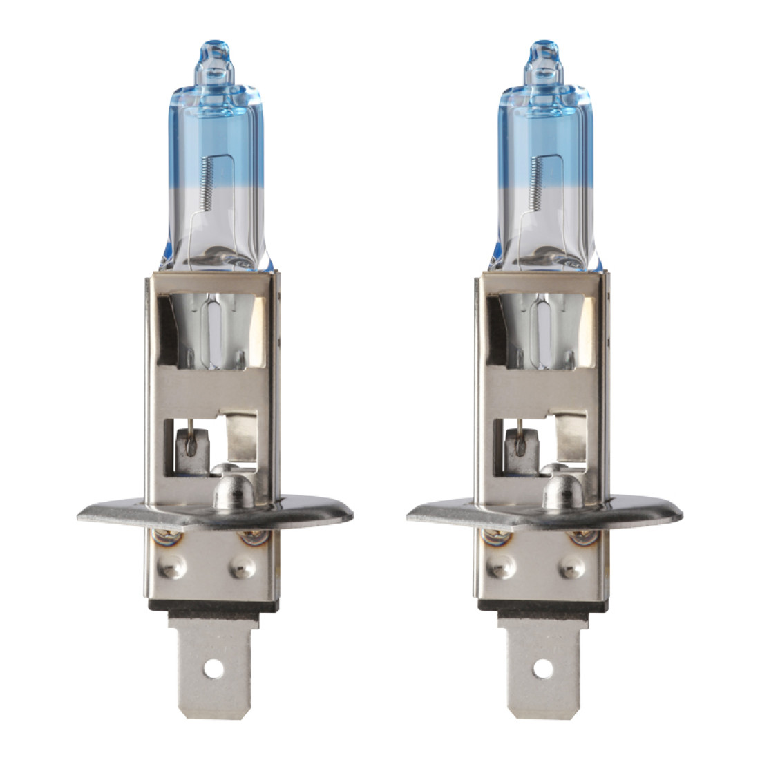 Flosser H1 Globe Kit, 12 V, 55 W, P14