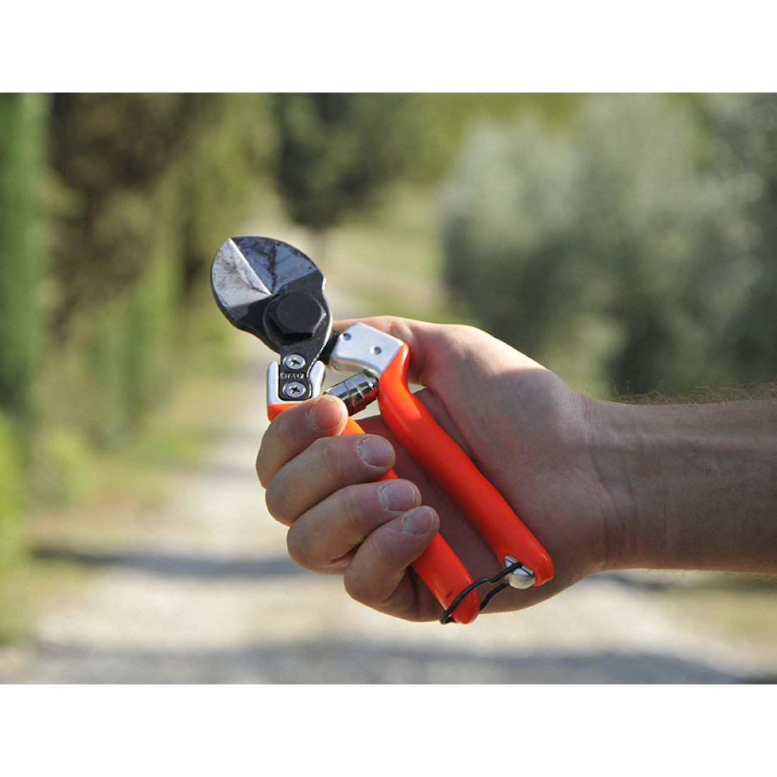 Castellari B12 Pruning Shear - Image 3