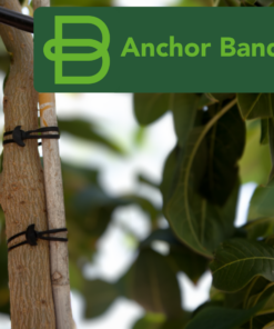 Bandex Anchor Band 100X4Mm - 1Kg