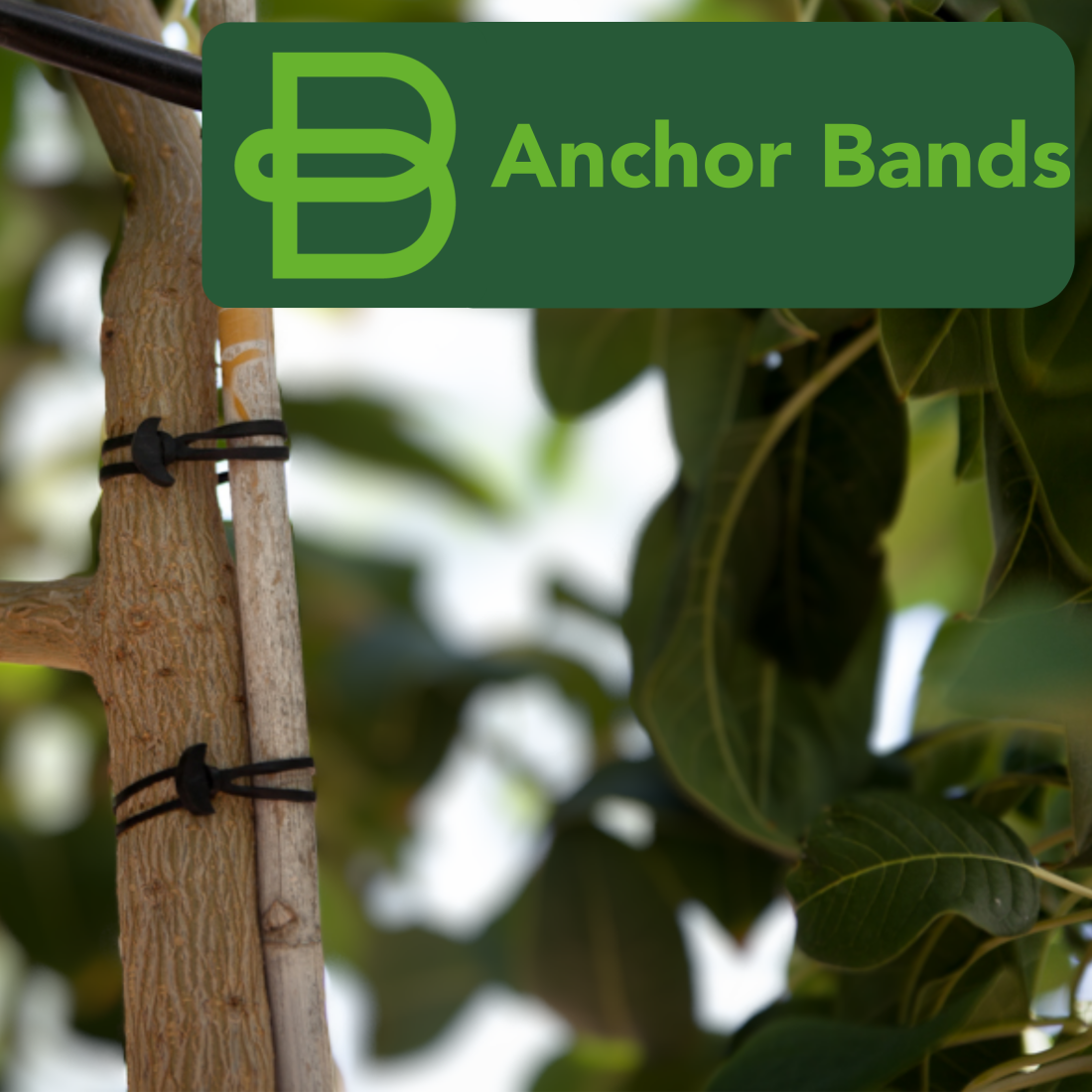 Bandex Anchor Band 100X4Mm - 1Kg