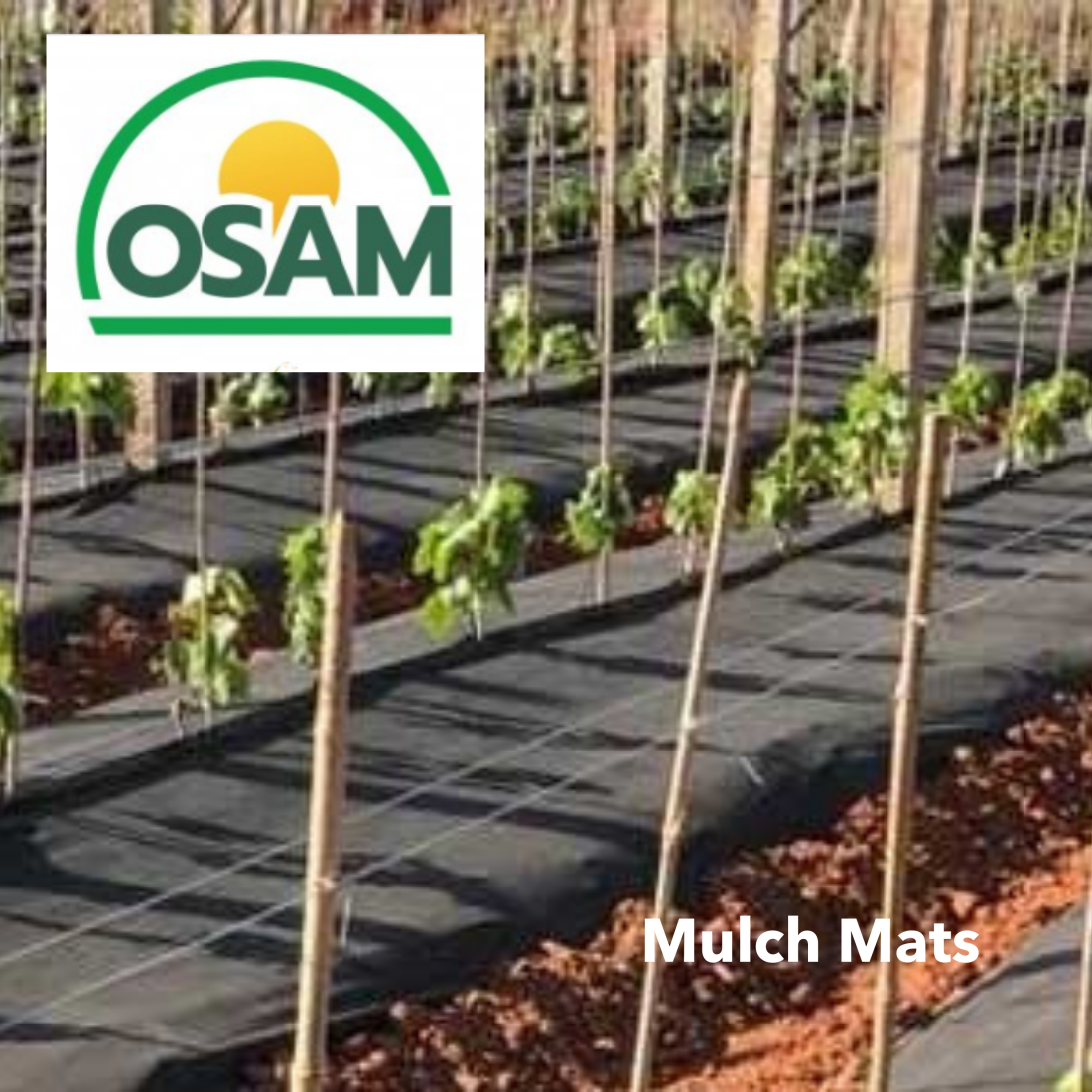 Osam Anti Evap Mulch Mw 120Gsm 0.6X100M