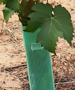 Osam Treeguard Square 70X600Mm Brown