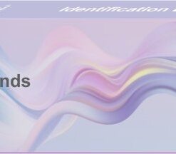 Identification Bands Adult – 100s Blue