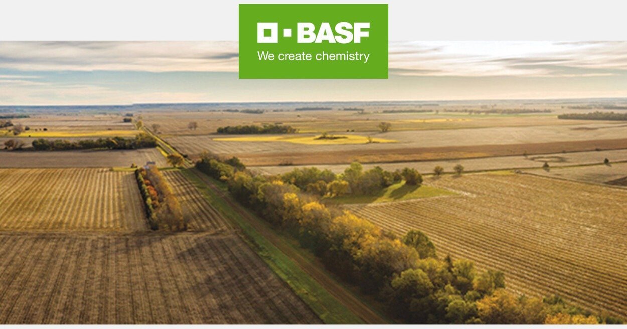 Insecticide Acrobat MZ