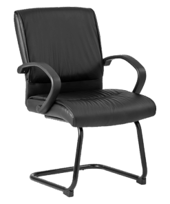 Goose Visitor Chair