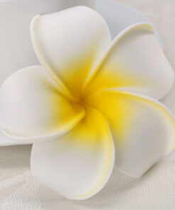Alternative view of Frangipani foam flower Yellow & White 8cm